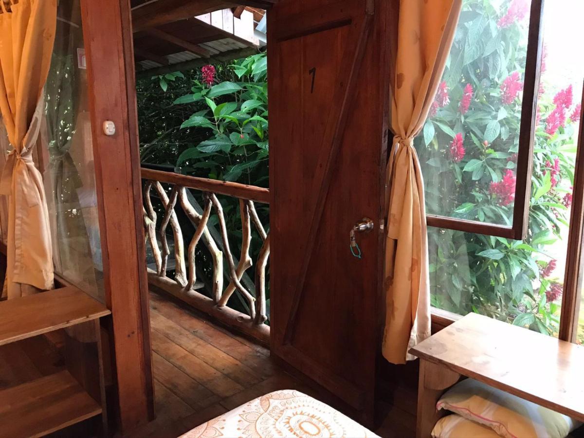Hosteria Los Cedros De Mindo Exterior foto