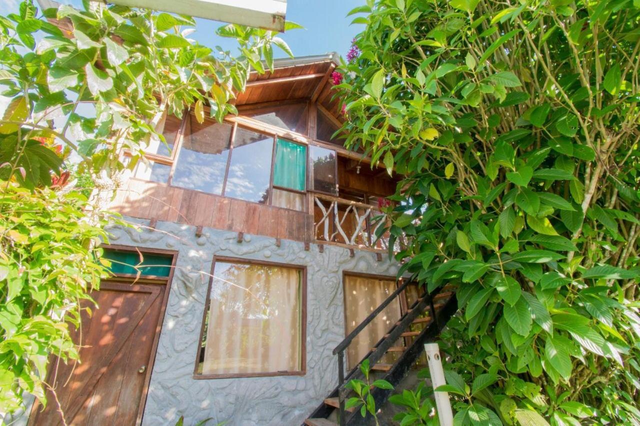 Hosteria Los Cedros De Mindo Exterior foto